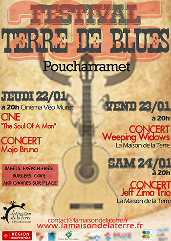 Affiche Terre de Blues 2015