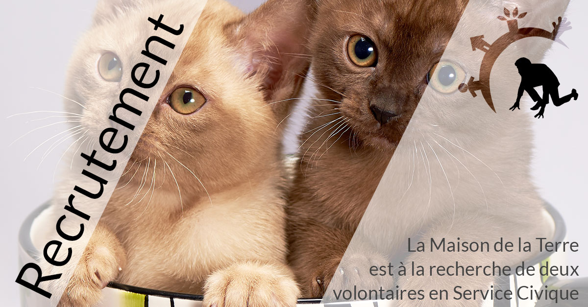 La Maison de la Terre recrute - Services Civiques La Maison de la Terre recrute - Services Civiques