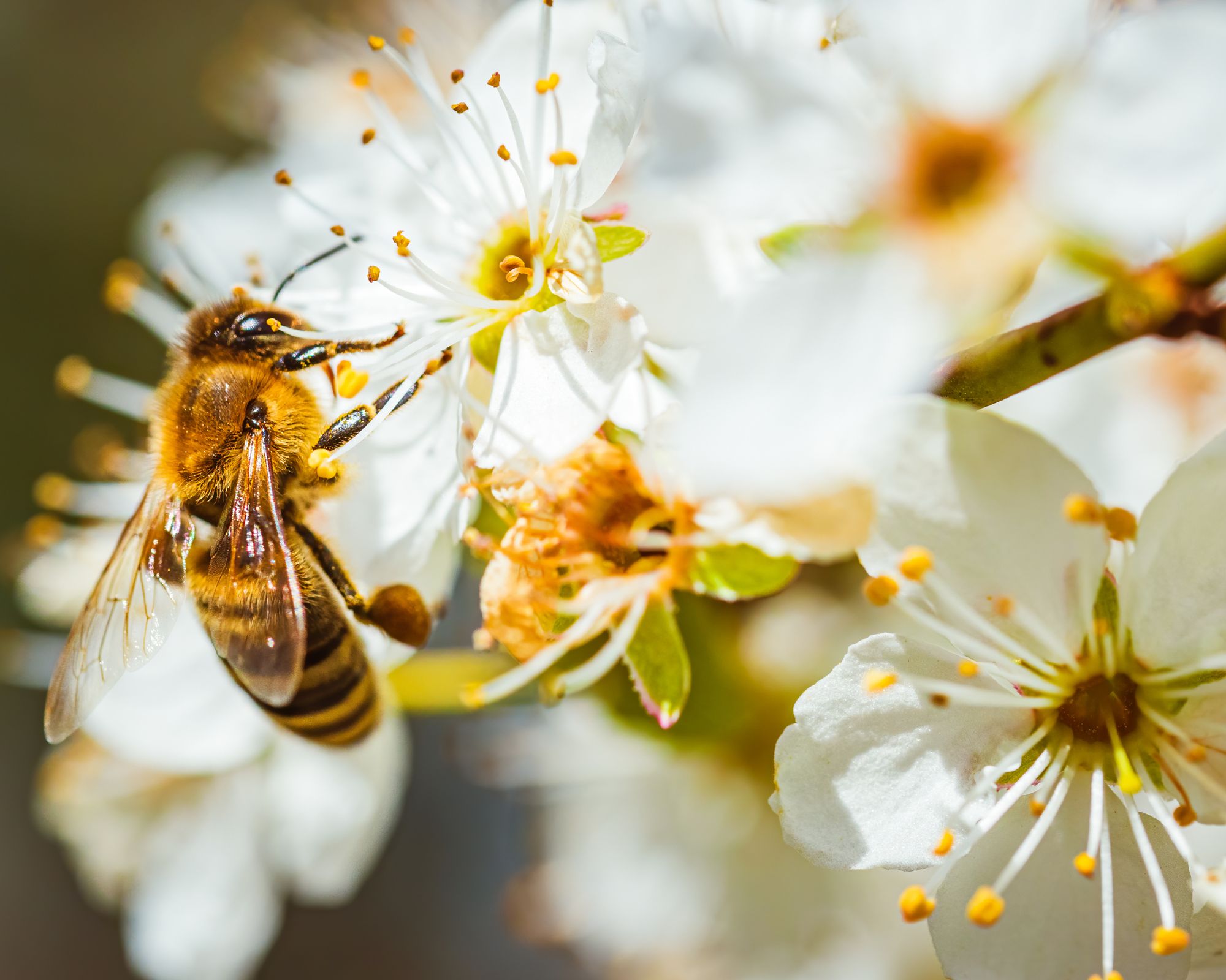 Café débat AgitaTerre - Nature et Progrès, Vendredi 13 juin à 19h30